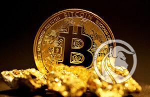 raport fed bitcoin