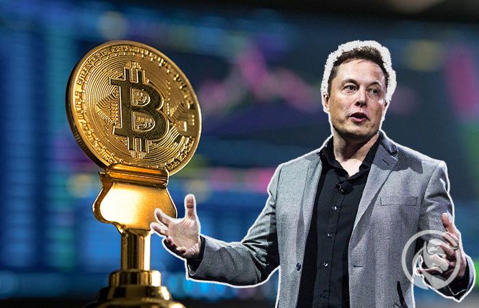Efekt Elona Muska zanika? Czy wizjoner odwróci się od rynku crypto?
