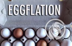 eggflation