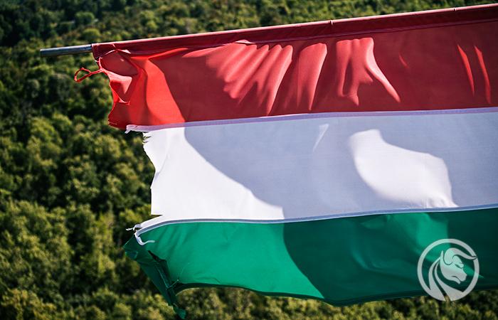 Bank Węgier zmieni dziś stronę? Analitycy obstawiają obniżkę stóp