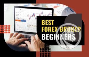 Best Forex Broker - Beginners