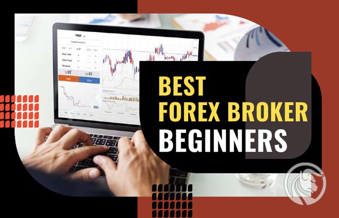 Najlepszy Broker Forex na początek – Zestawienie 2026