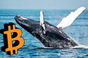 bitcoinowy wieloryb