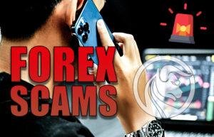 scam forex