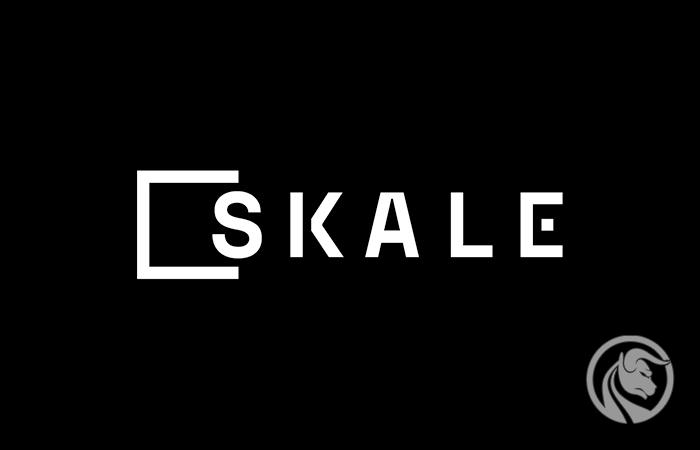 Skale (SKL) – kryptowaluta na nieskończonej liczbie blockchainów