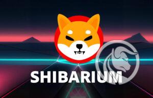 Shibarium