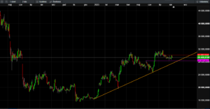 bitcoin wykres 11-08