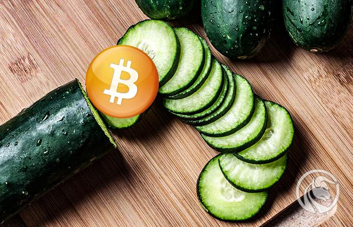 Kryptoemerytura: wakacje z kryptowalutami, czyli sezon ogórkowy