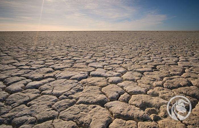 Nieprzewidywalność El Niño: Upały, susze i huragany oraz ich wpływ na giełdy