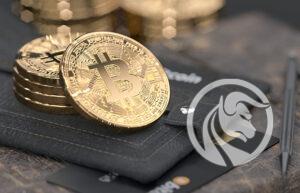 portfele bitcoin