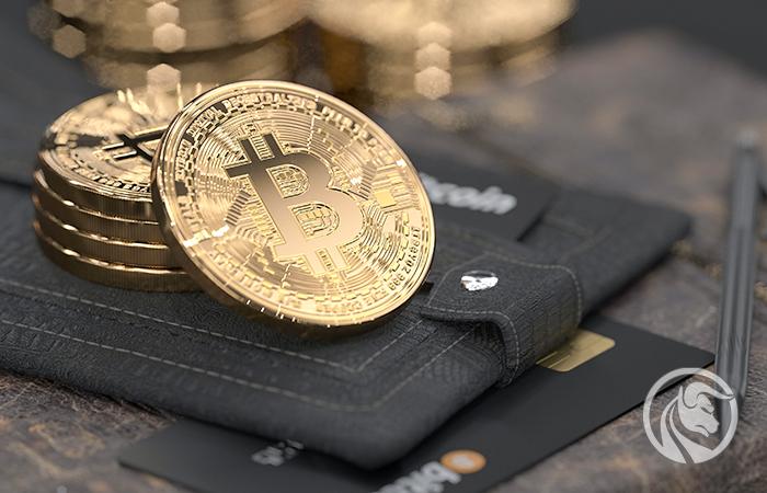 Liczba portfeli posiadających Bitcoina przekroczyła 48 milionów