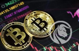 bitcoin spot etf