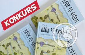 krok po kroku o wolności finansowej