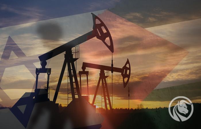 Napięcia na rynku ropy naftowej – najnowsze spojrzenie Międzynarodowej Agencji Energetycznej (IEA)