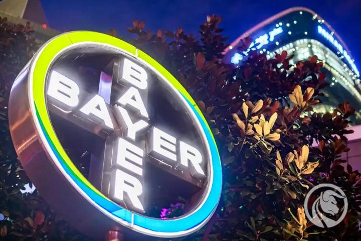 Bayer stał się wyborem cierpliwych inwestorów
