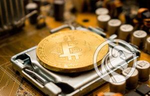bitcoinowi milionerzy