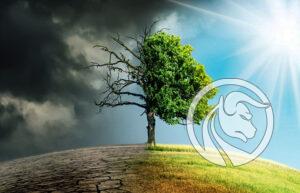 extremeweather portfolio