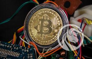 koparki kryptowalut nsa