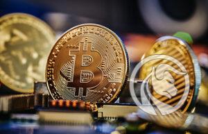 bitcoin drożeje
