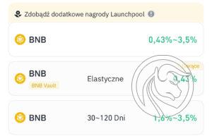 staking bnb