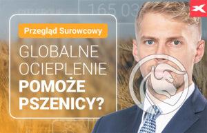 pszenica surowce webinar