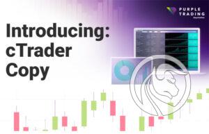 purple trading ctrader copy