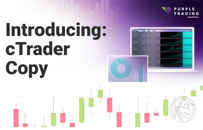 Purple Trading z kopiowaniem transakcji w cTrader Copy