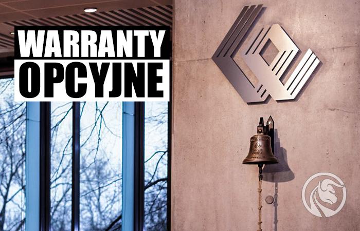 Warranty opcyjne – czy warto korzystać z substytutu opcji?