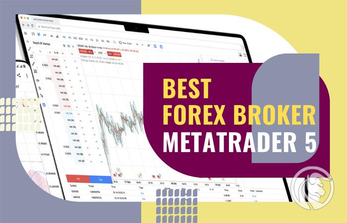Najlepszy Broker Forex MT5 – Zestawienie 2026