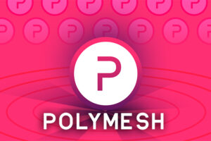 criptografia polymesh polyx