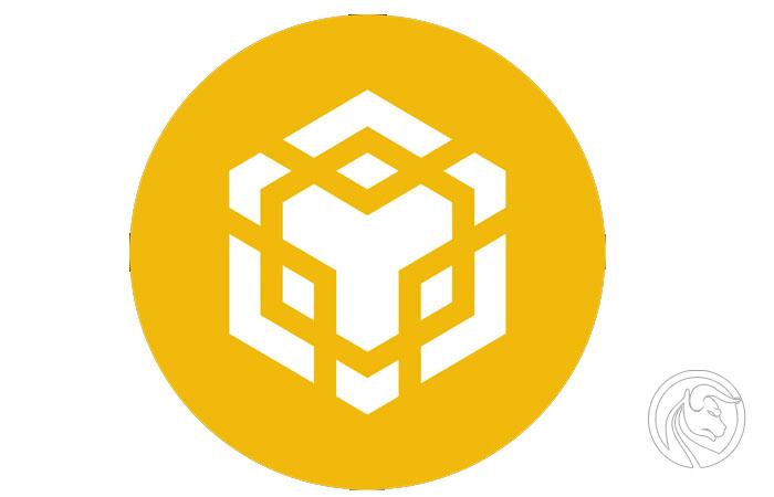 Binance Coin (BNB)