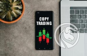 copy trading knf