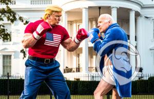 trump vs biden