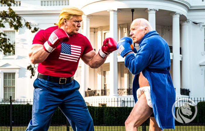 Kampania w USA nabiera tempa, spadek Alfen i zyski Micron