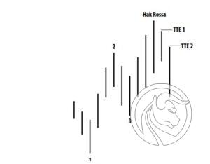 3 TTE Day trading