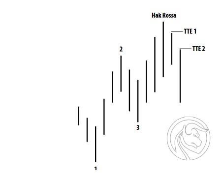 3 TTE Day trading