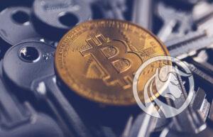 portfel sprzętowy kryptowaluty