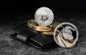 najlepsze portfele kryptowalut