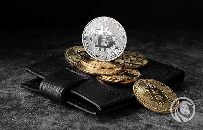 Najlepsze portfele kryptowalut, czyli gdzie trzymać swoje tokeny