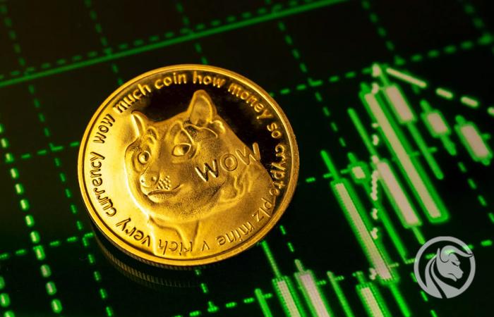 Bitwise chce utworzyć ETF oparty na Dogecoinie