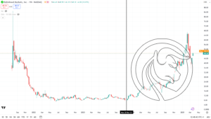 akcje robinhood wzrost