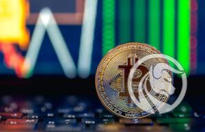 dlaczego spółki giełdowe kupują bitcoina