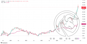 qrs akcje