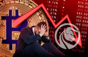 james wynn trading crypto