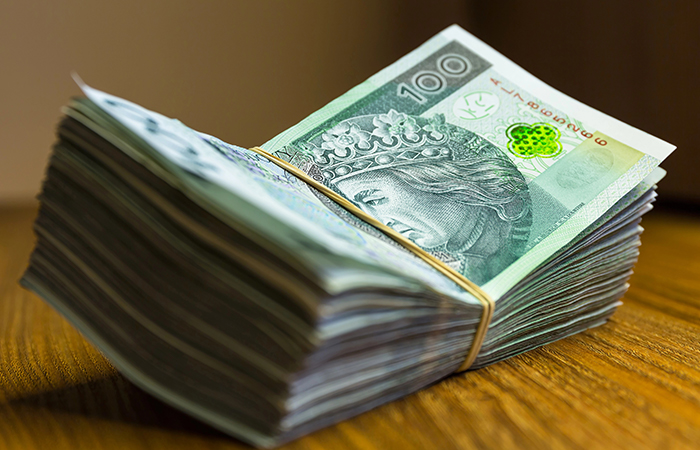 Złoty najmocniejszy od lat. Wakacje wreszcie tańsze?