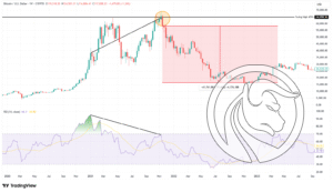 RSI div