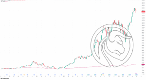 1 NVDA_2025-08-29_20-02-50