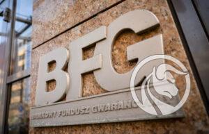 Bankowy Fundusz Gwarancyjny (BFG)