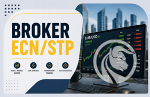 broker ecn stp