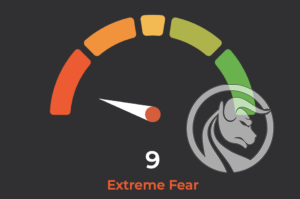 fear & greed index example